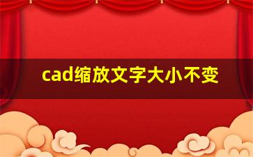 cad缩放文字大小不变