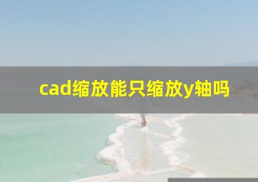 cad缩放能只缩放y轴吗