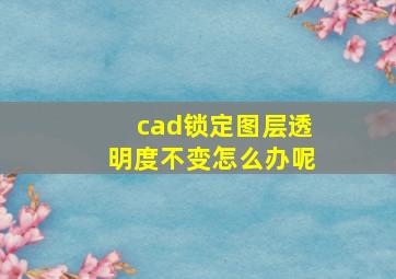 cad锁定图层透明度不变怎么办呢