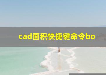 cad面积快捷键命令bo