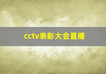 cctv表彰大会直播