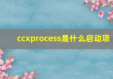 ccxprocess是什么启动项