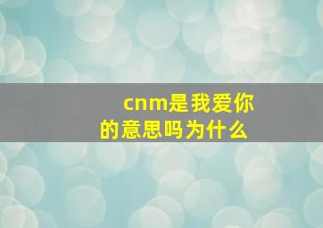 cnm是我爱你的意思吗为什么