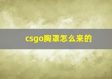 csgo胸罩怎么来的