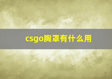 csgo胸罩有什么用