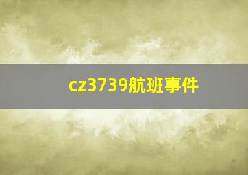 cz3739航班事件