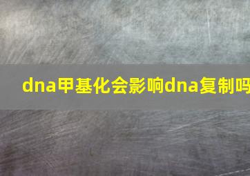 dna甲基化会影响dna复制吗