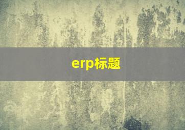 erp标题