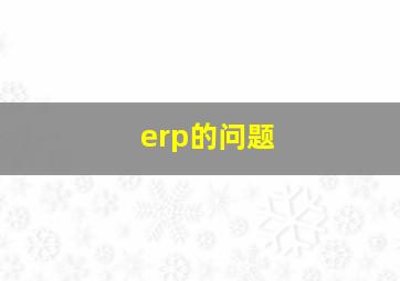 erp的问题