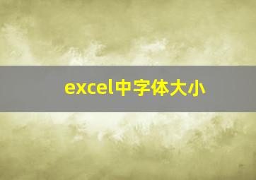 excel中字体大小