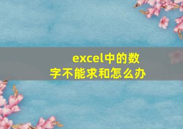 excel中的数字不能求和怎么办