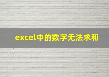 excel中的数字无法求和