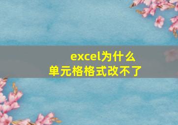 excel为什么单元格格式改不了