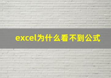 excel为什么看不到公式