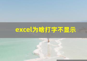 excel为啥打字不显示