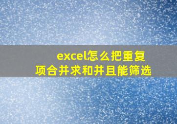 excel怎么把重复项合并求和并且能筛选