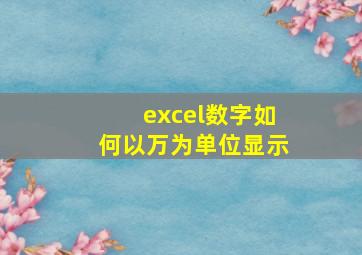 excel数字如何以万为单位显示