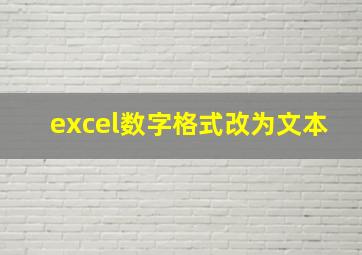 excel数字格式改为文本