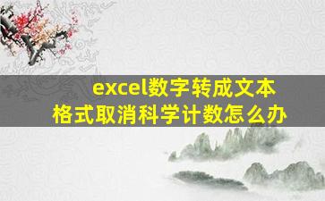 excel数字转成文本格式取消科学计数怎么办