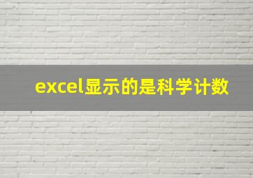 excel显示的是科学计数