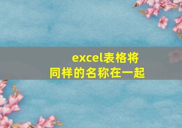 excel表格将同样的名称在一起