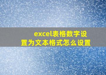 excel表格数字设置为文本格式怎么设置