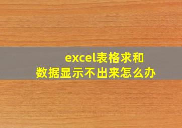 excel表格求和数据显示不出来怎么办