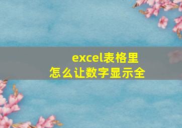 excel表格里怎么让数字显示全