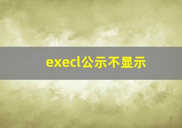 execl公示不显示