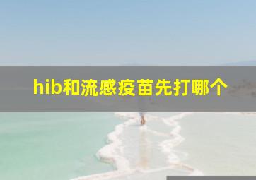 hib和流感疫苗先打哪个