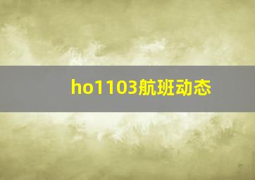 ho1103航班动态