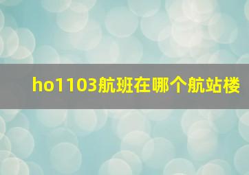 ho1103航班在哪个航站楼