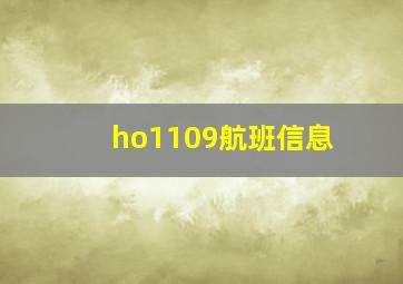 ho1109航班信息