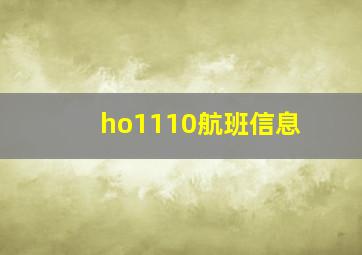 ho1110航班信息