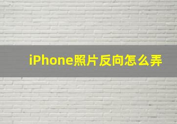 iPhone照片反向怎么弄