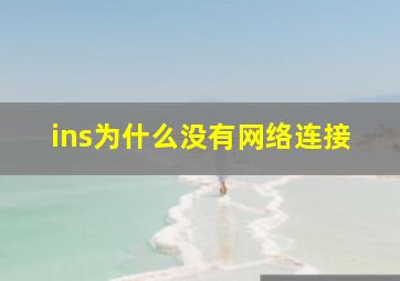 ins为什么没有网络连接