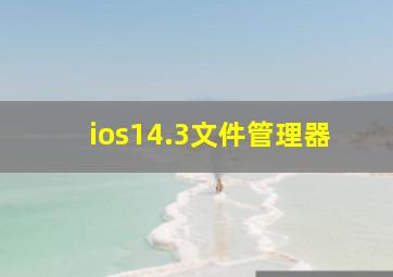 ios14.3文件管理器