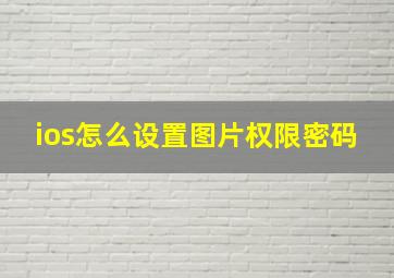 ios怎么设置图片权限密码