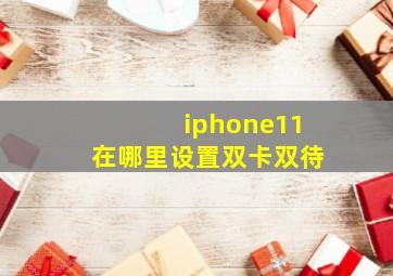 iphone11在哪里设置双卡双待