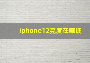 iphone12亮度在哪调