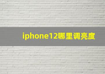 iphone12哪里调亮度