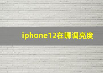 iphone12在哪调亮度