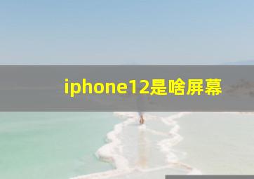 iphone12是啥屏幕