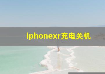 iphonexr充电关机