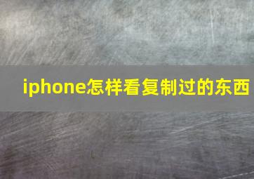 iphone怎样看复制过的东西