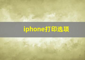 iphone打印选项