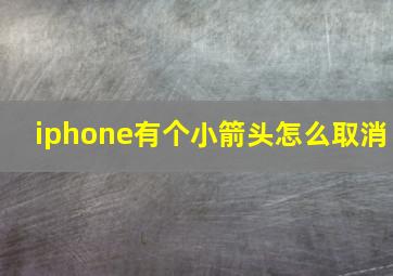 iphone有个小箭头怎么取消