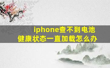 iphone查不到电池健康状态一直加载怎么办