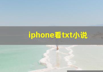 iphone看txt小说