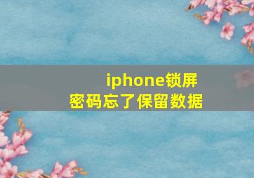 iphone锁屏密码忘了保留数据